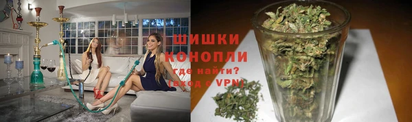 крисы Нея