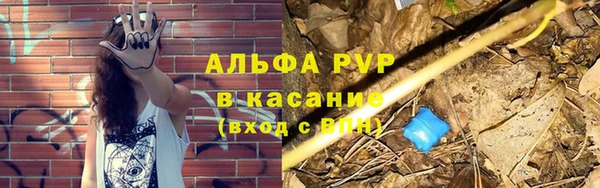 крисы Нея