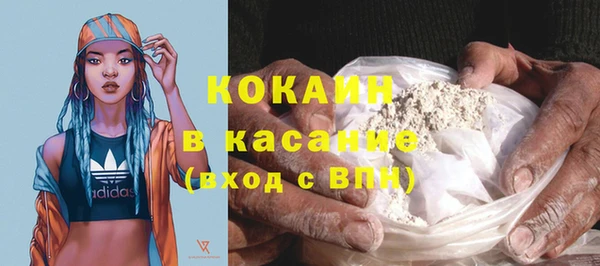 шишки Наволоки
