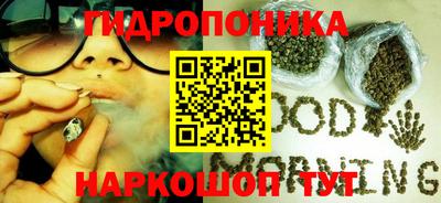 прущие грибы Донецк