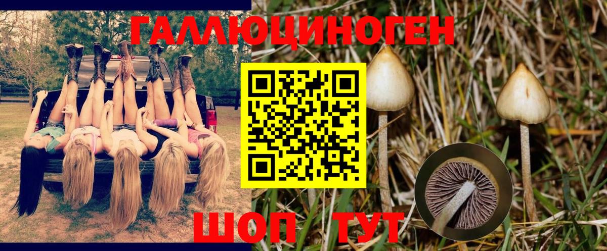 Галлюциногенные грибы прущие грибы  купить  сайты  Ивантеевка 