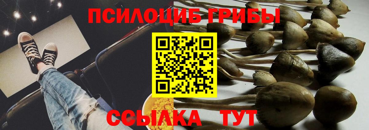 Псилоцибиновые грибы мухоморы  Вход с VPN  Ивантеевка 