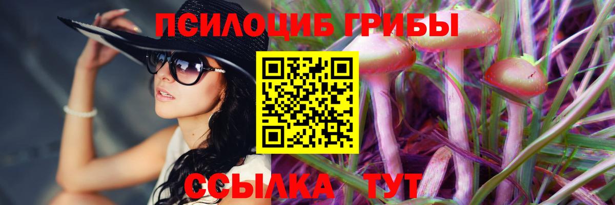 Ивантеевка  Каннабис  Бошки Шишки  Мефедрон   Cocaine  Вход с VPN  Гашиш 